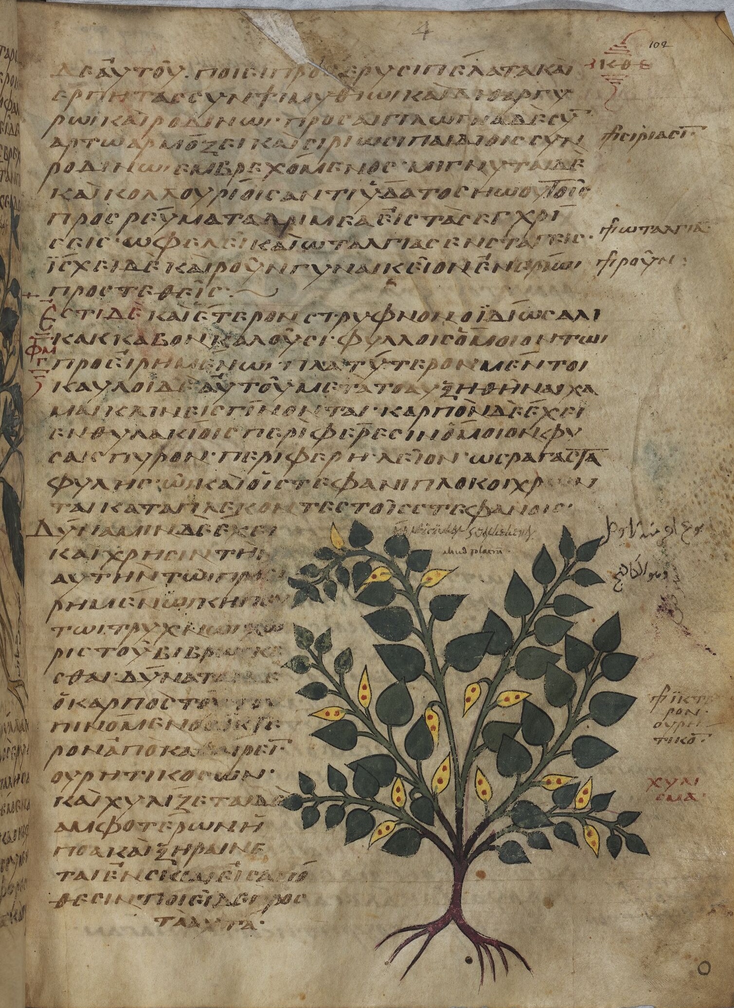 Description de l'image