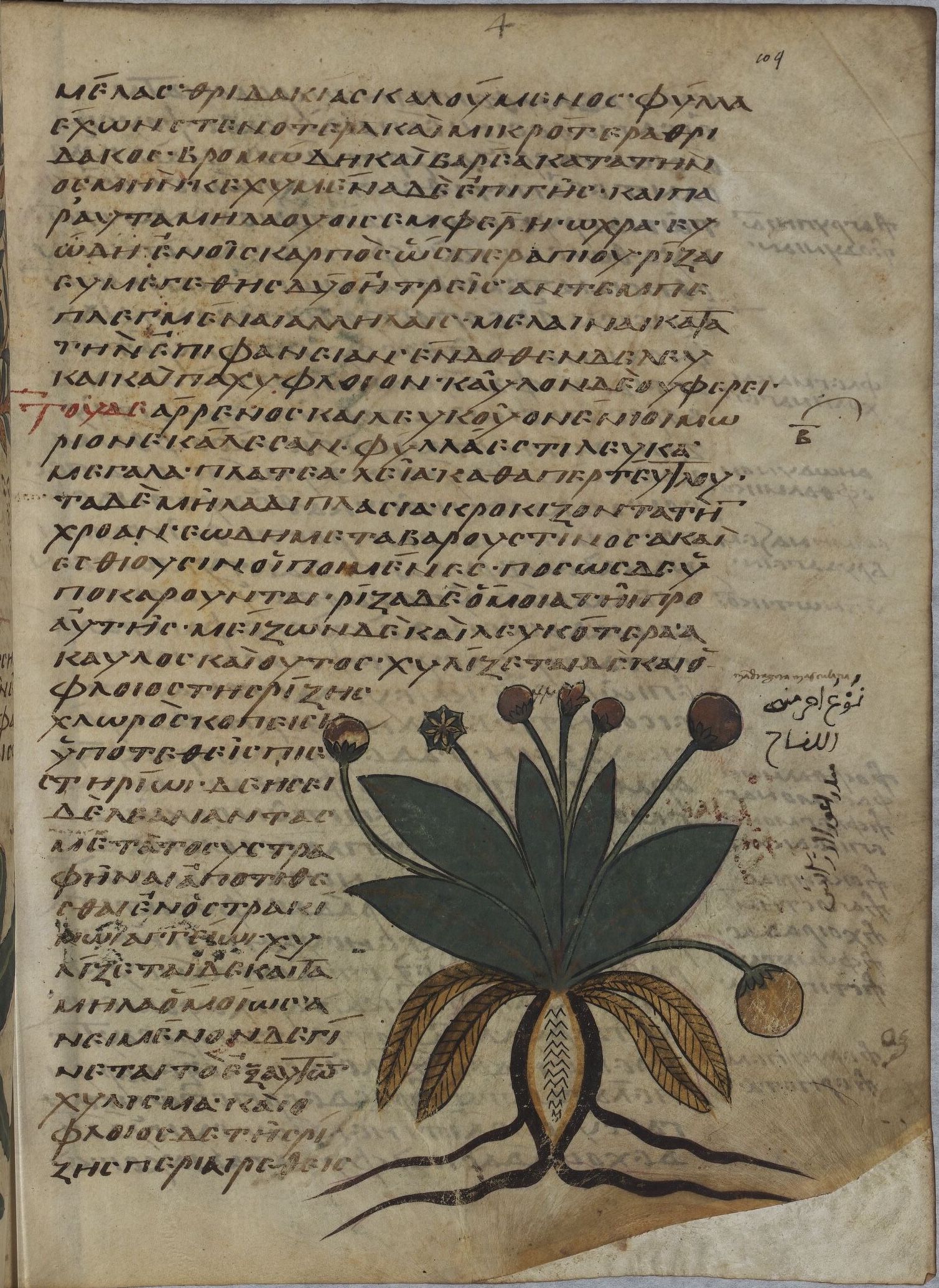 Description de l'image