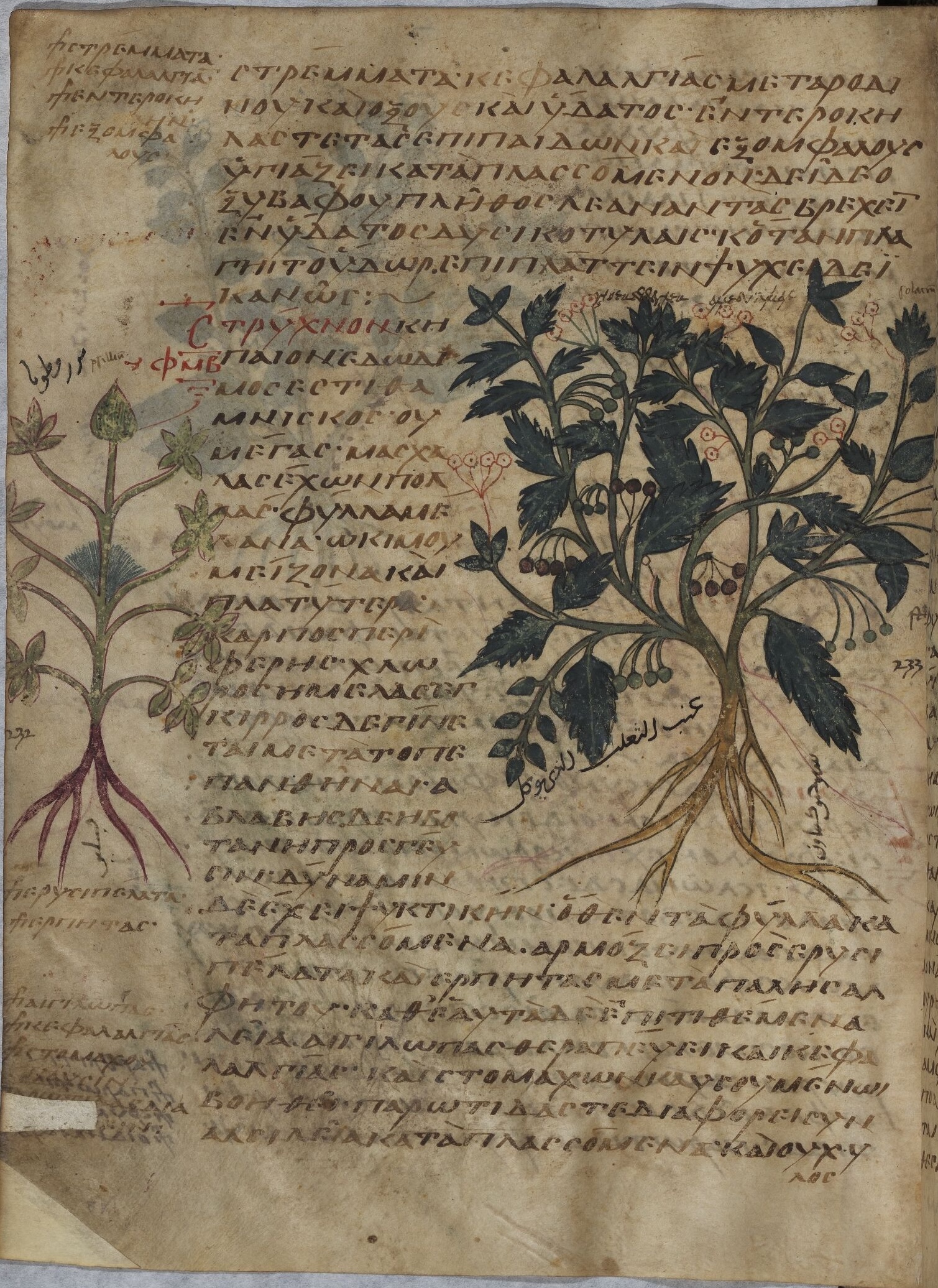 Description de l'image